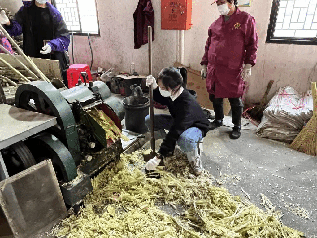 公益助農(nóng)新體驗(yàn)，鄉(xiāng)村振興正當(dāng)時(shí) 惲代英菁英學(xué)校赴新洲紅糖小鎮(zhèn)開展勞動(dòng)實(shí)踐教育