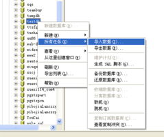 廣州互聯(lián)網(wǎng)數(shù)據(jù)中心服務全解析 從域名注冊到網(wǎng)站運維的一站式解決方案
