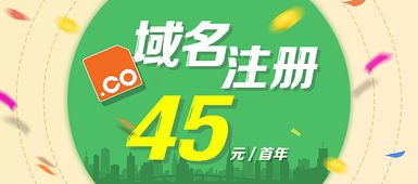 互聯(lián)網(wǎng)域名注冊(cè)服務(wù) 連接未來的數(shù)字鑰匙
